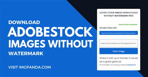 VectorStock Image Downloader Without Watermark .